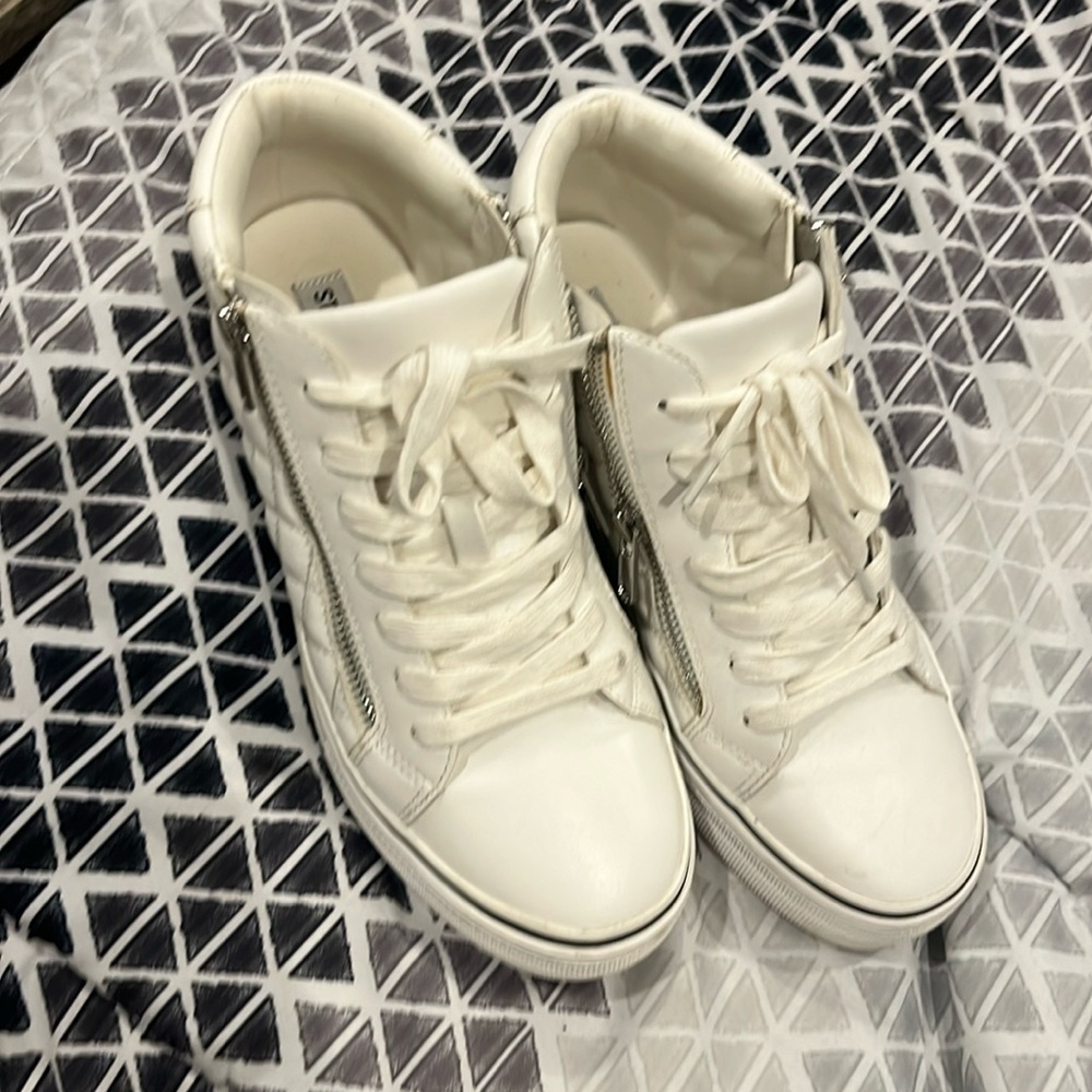 Steve Madden gryphon